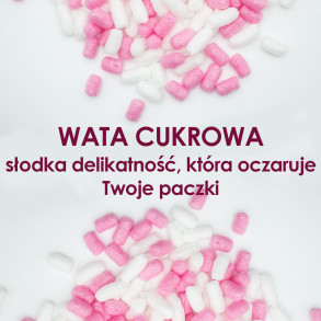 Wata Cukrowa - Wypełniacz skrobiowy Pack Chips Bio 200l