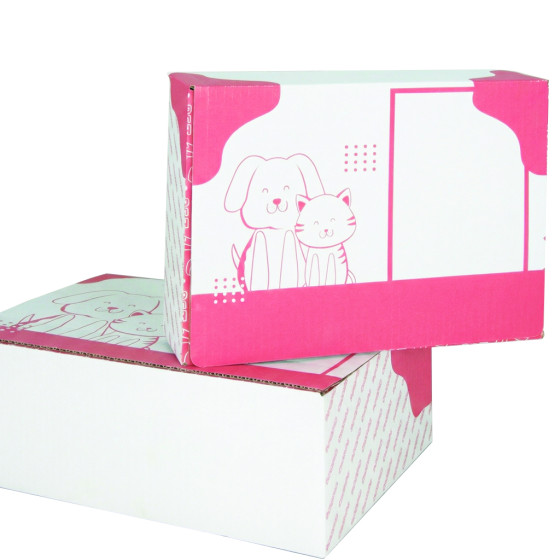 Karton automatyczny 310x220x80mm F703 z nadrukiem Karton automatyczny 310x220x80mm F703 z nadrukiem